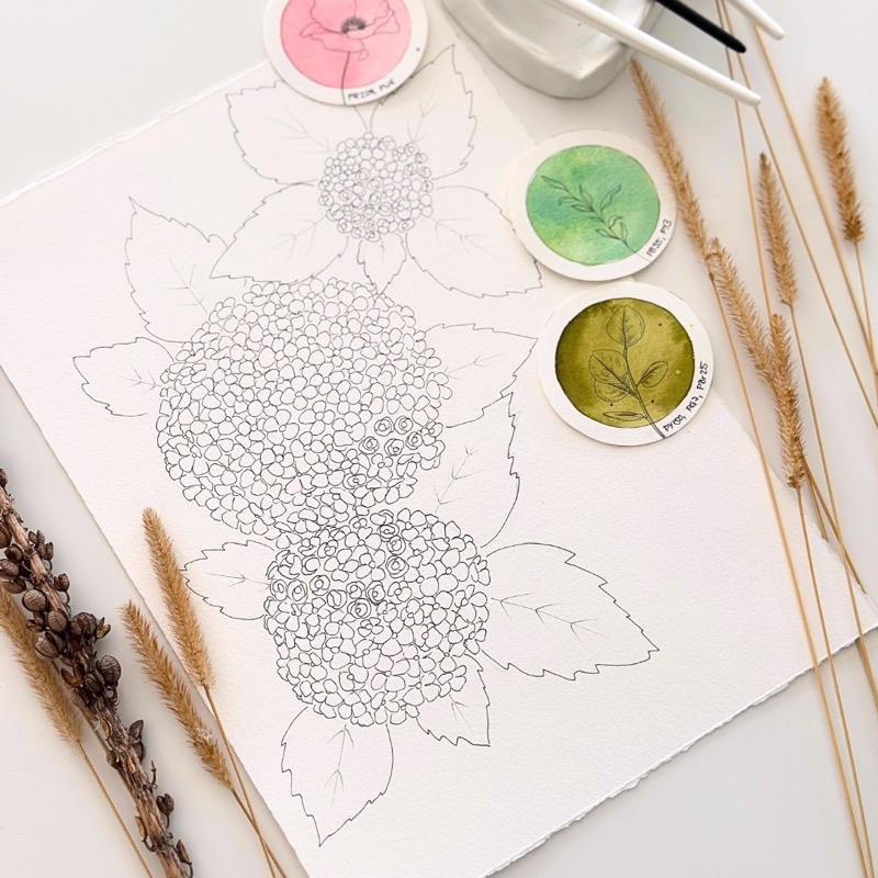 Atelier Outlines