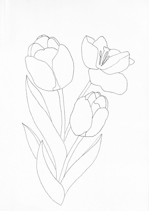 Nature Palette Inspirations Duo - Tulpen #01 Malvorlage