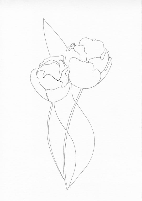 Nature Palette Inspiration Duo - Tulpen #02 Malvorlage