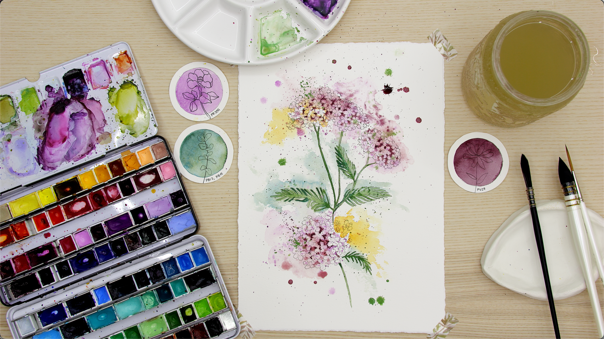 Nature Palette Vol. 1 Achillea millefolium Video