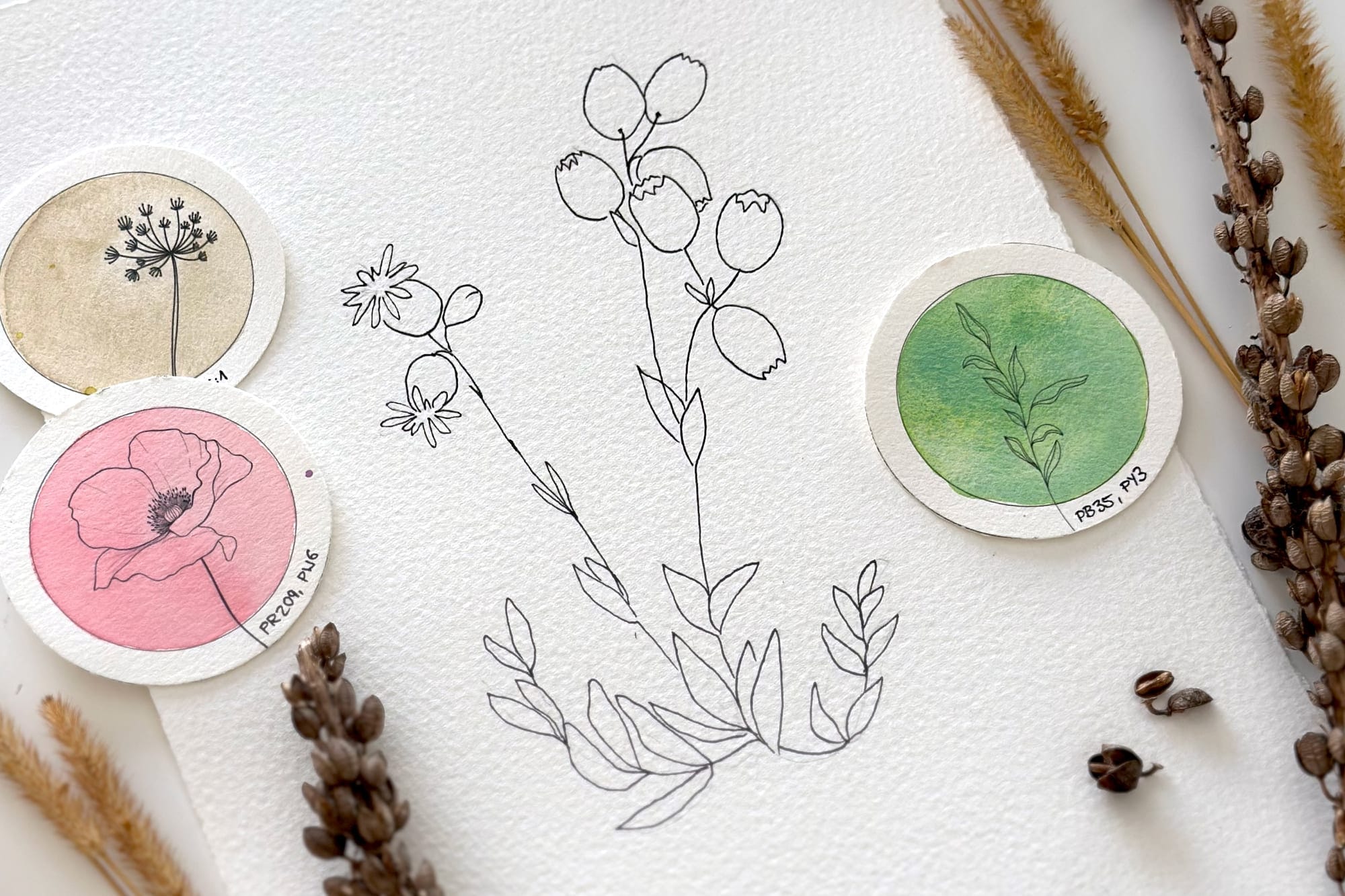Botanische Linienzeichnung mit Pigment-Swatches und getrockneten Gräsern