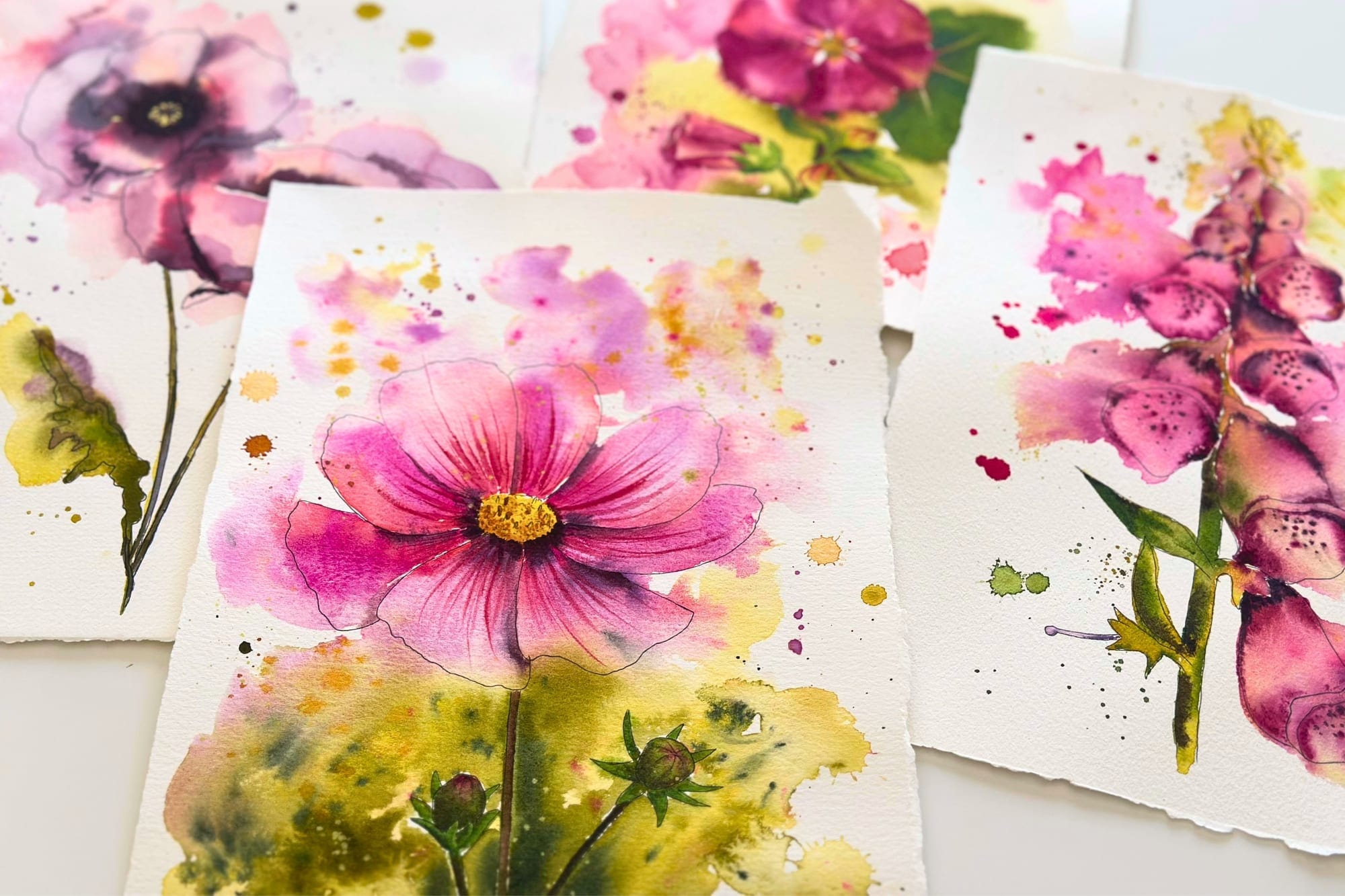 Aquarell einer pinkfarbenen Cosmea