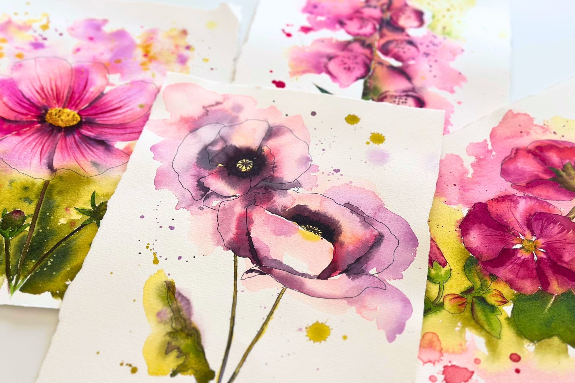 Aquarell eines Mohns in zarten Rosatönen