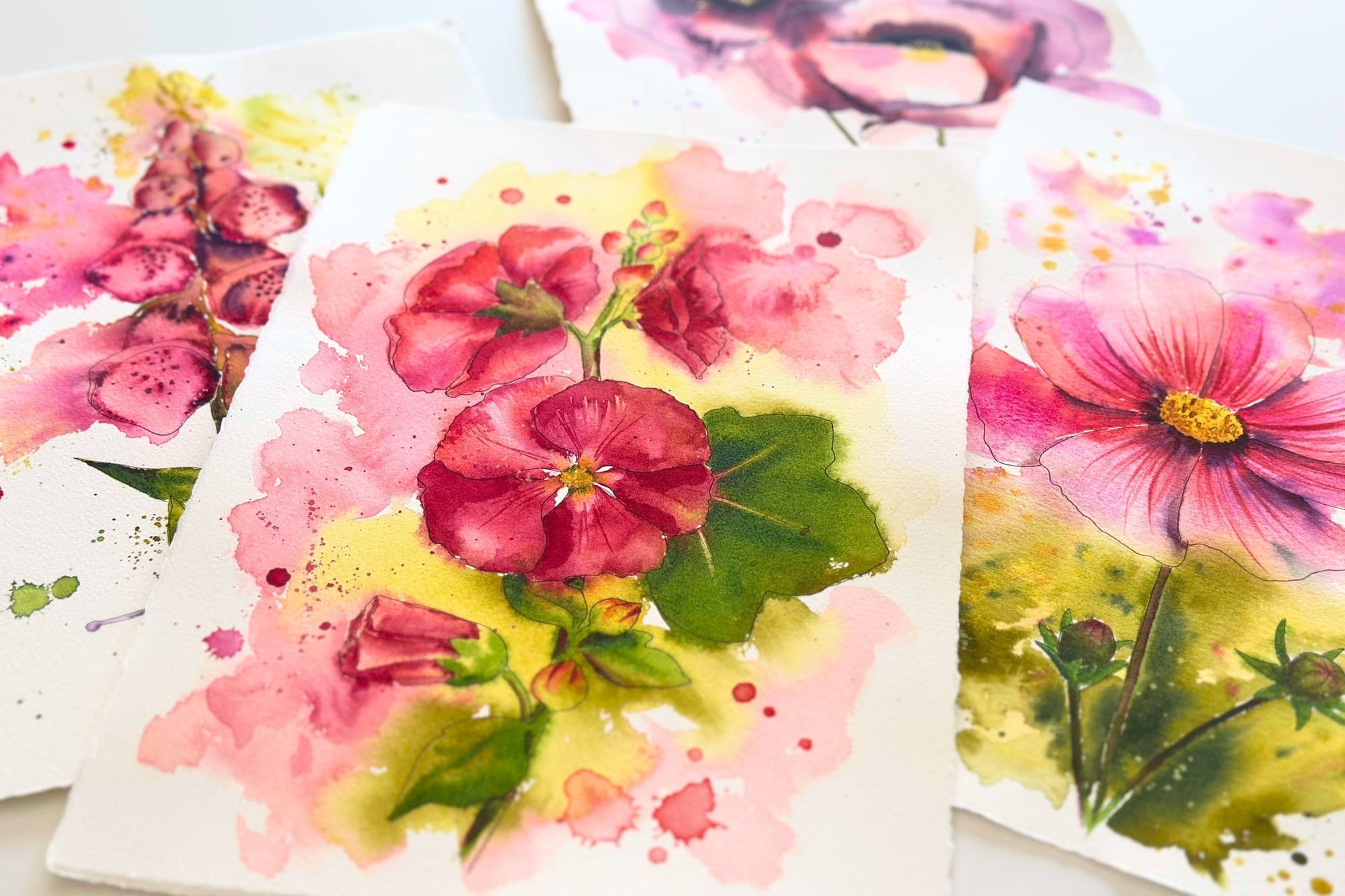 Aquarell einer Stockrose in Rosa und Rot
