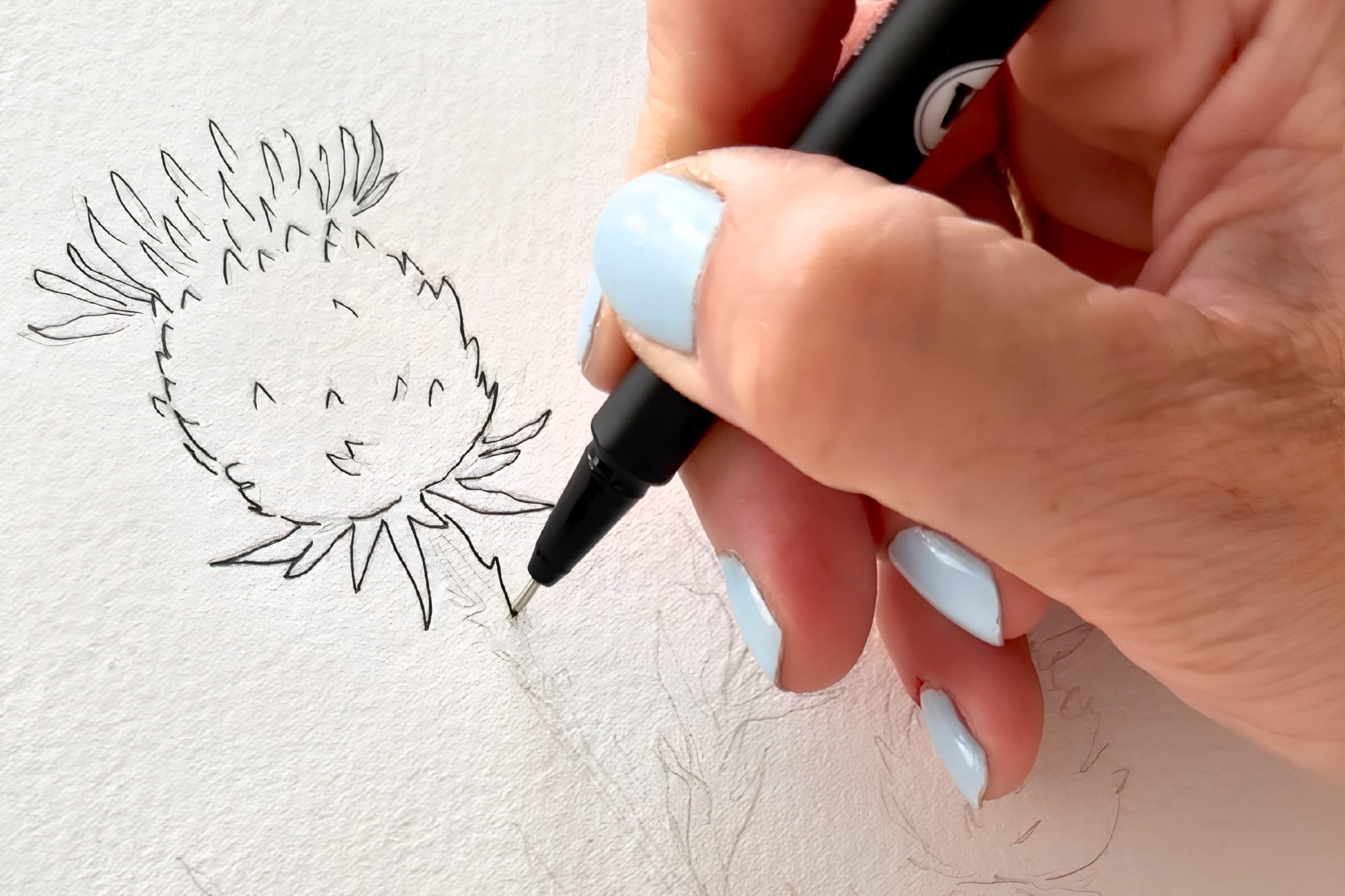 Meine Hand zeichnet die Kratzdistel-Outline mit einem Fineliner