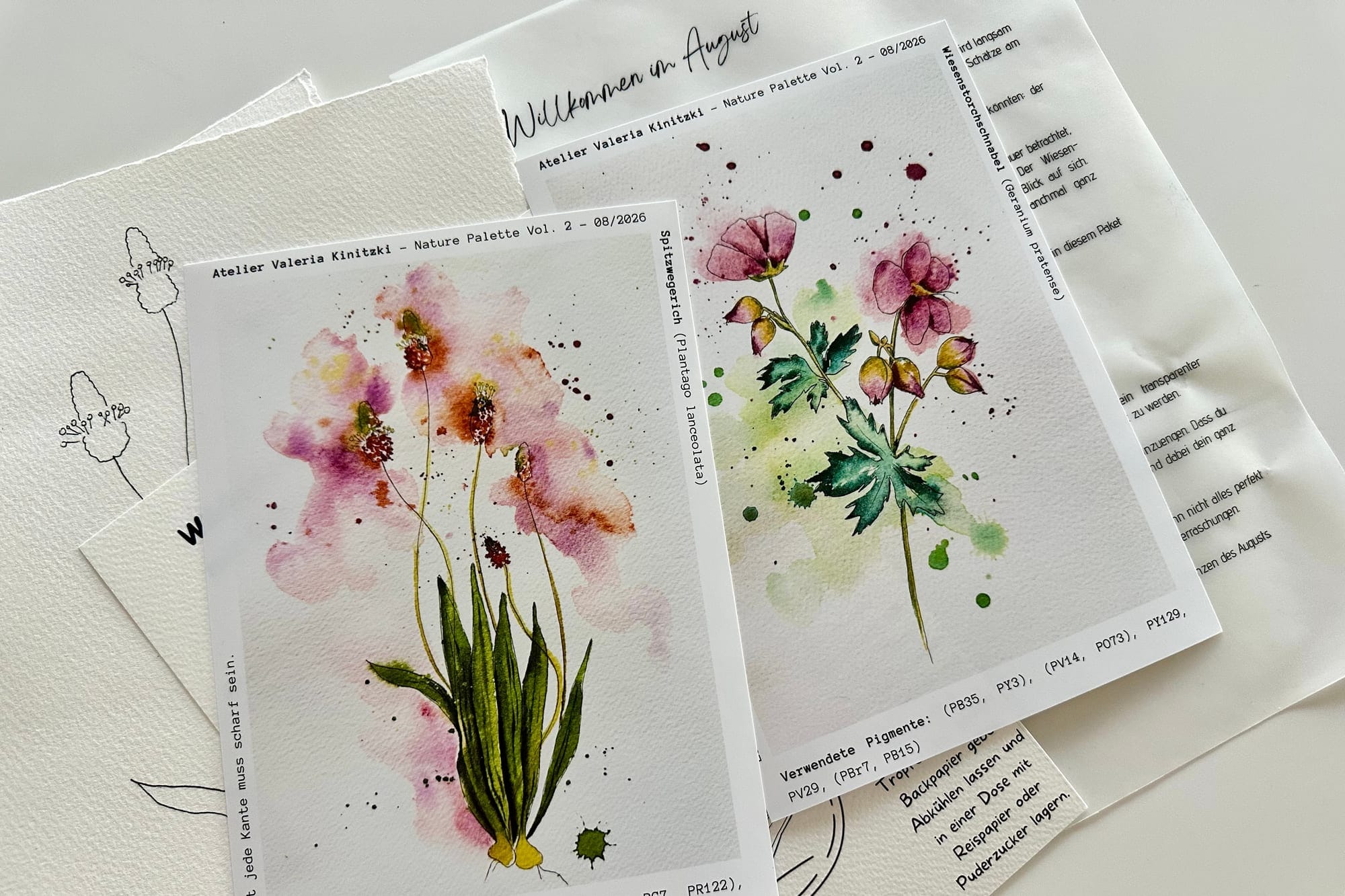 Zwei botanische Referenzdrucke: Spitzwegerich und Wiesen-Storchschnabel, jeweils mit Pigment-Angaben