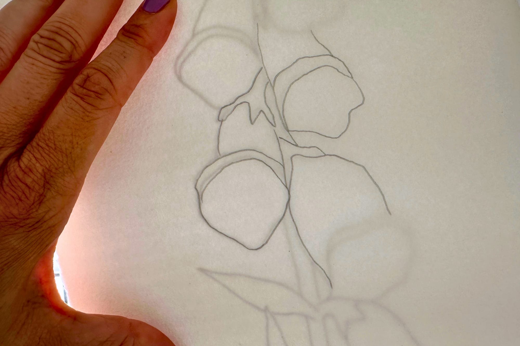 Vorlage und Aquarellpapier am hellen Fenster, Linien werden mit Bleistift durchgepaust
