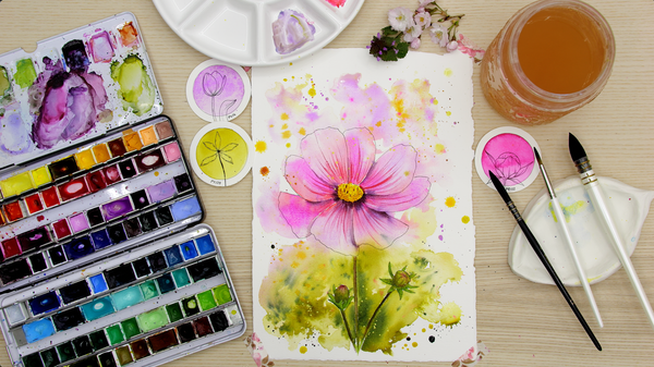 Nature Palette Vol. 1 Cosmos bipinnatus Video