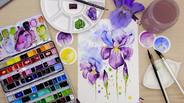 Nature Palette Vol. 1 Iris x germanica Video