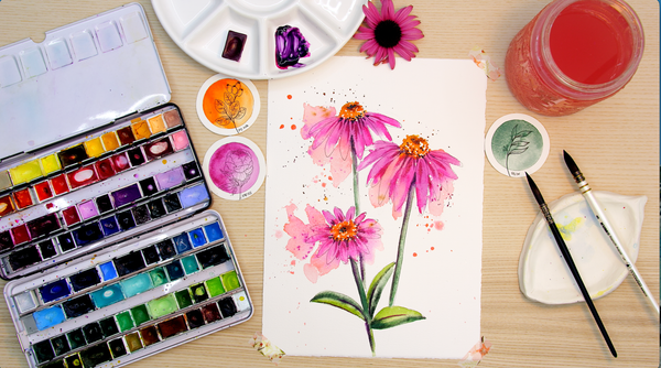 Nature Palette Vol. 1 Echinacea purpurea Video