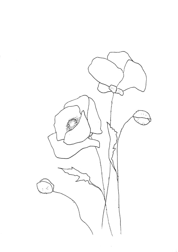 Nature Palette Vol.2 - Papaver rhoeas Malvorlage