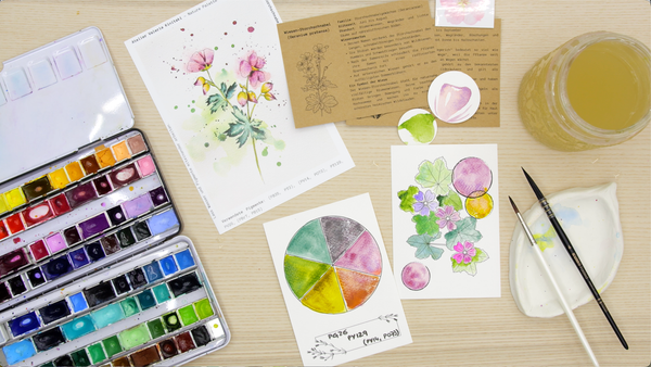 Nature Palette Vol. 2 Geranium pratense Swatchkarten Video