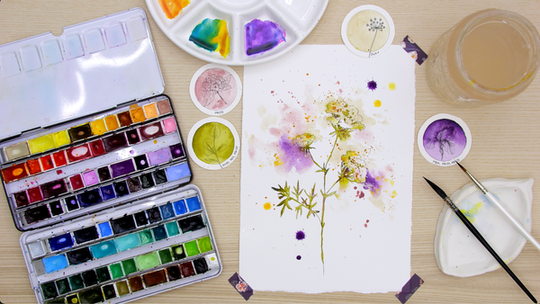 Nature Palette Vol. 2 Daucus carota Video